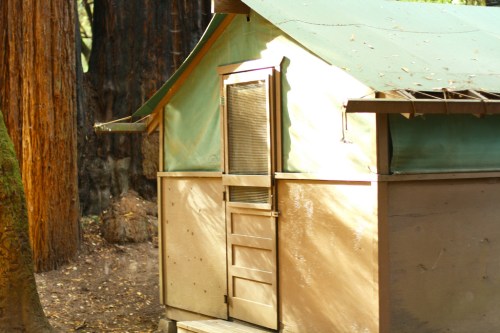 tent cabin in Big Basin Redwood Park